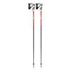 Leki Bold S Downhill Ski Poles 2024