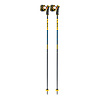 Leki Spitfire 3D Downhill Ski Poles 2024