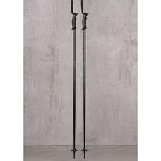 Armada Triad Ski Poles 2025