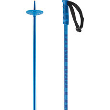 Salomon Hacker Downhill Ski Poles 2025