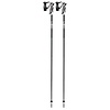Leki Bold Lite S Downhill Ski Poles 2025
