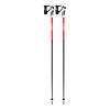 Leki Bold S Downhill Ski Poles 2025