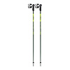 Leki Detect S Downhill Ski Poles 2025
