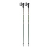 Leki Detect S Downhill Ski Poles 2025