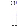 Leki Switch Pow Downhill Ski Poles 2025