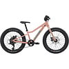 Cannondale Kids' Trail Plus 20" Mountain Bike 2025