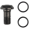 Shimano BR-M8100 Banjo Bolt and O-Ring