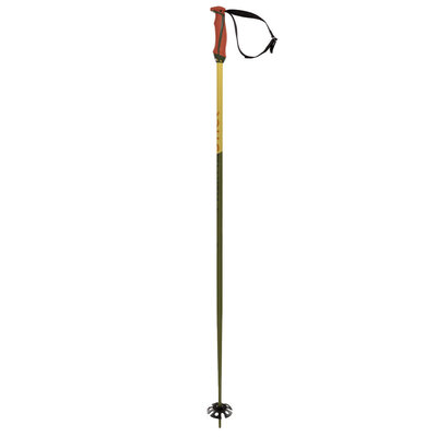 Volkl Phantastick 18mm Ski Poles