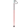 Volkl Phantastick 18mm Ski Poles