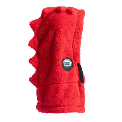 Coal Kids' The Ridge Sherpa Fleece Hood