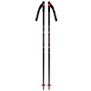Rossignol Poker Pro Ski Poles 2026