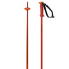 Salomon Polar Downhill Ski Poles 2026
