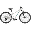 Cannondale Kids' Trail 26" Mountain Bike 2026