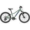 Cannondale Kids' Trail 20" Mountain Bike 2026