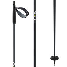 Fischer BC Offtrack Cross Country Ski Poles 2024