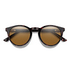 Smith Westward Sunglasses