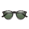 Smith Westward Sunglasses