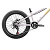 Norco Kids' Storm 20 Mountain Bike 2026