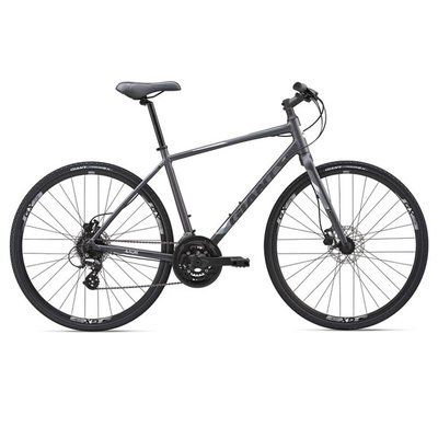 Giant Escape 2 Disc Bicycle 2019
