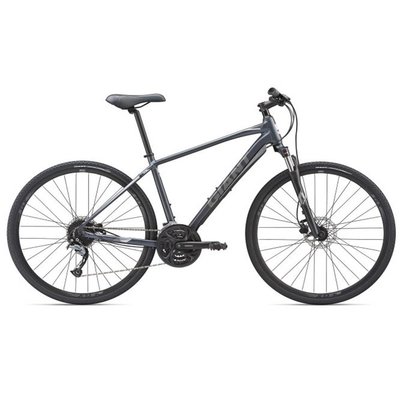 Giant Roam 2 Disc Bicycle 2019