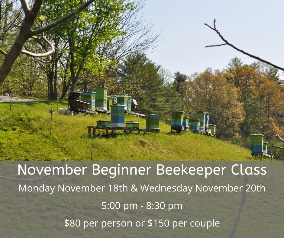 November Beginner Beekeeping Class