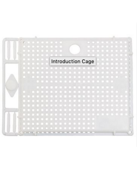 Push-In Queen Introduction Cage