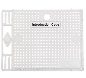 Push-In Queen Introduction Cage