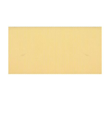 (8 1/2") Deep Wax Cut Comb Foundation, 12.5 lb. box (apprx. 85 sheets)