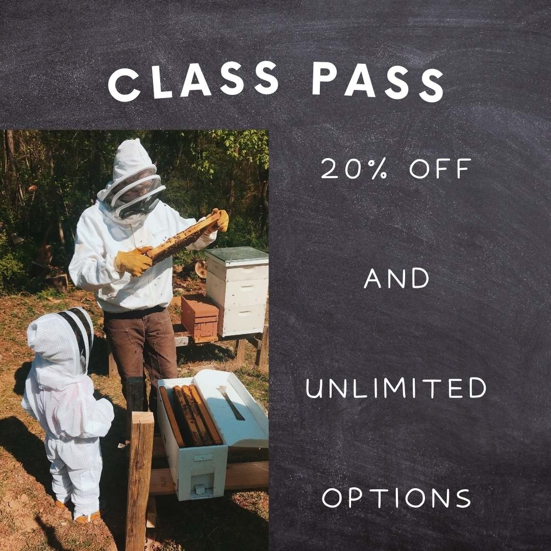 Class Passes