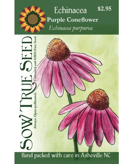 Sow True Seeds, Echinacea (Purple Coneflower)