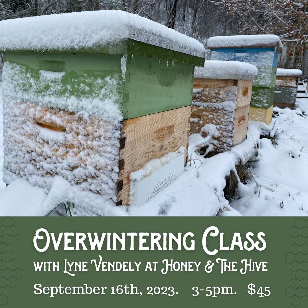 CLASS: Overwintering with Lyne Vendely