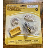 Safari LTD Safariology: Life Cycle of a Honey Bee