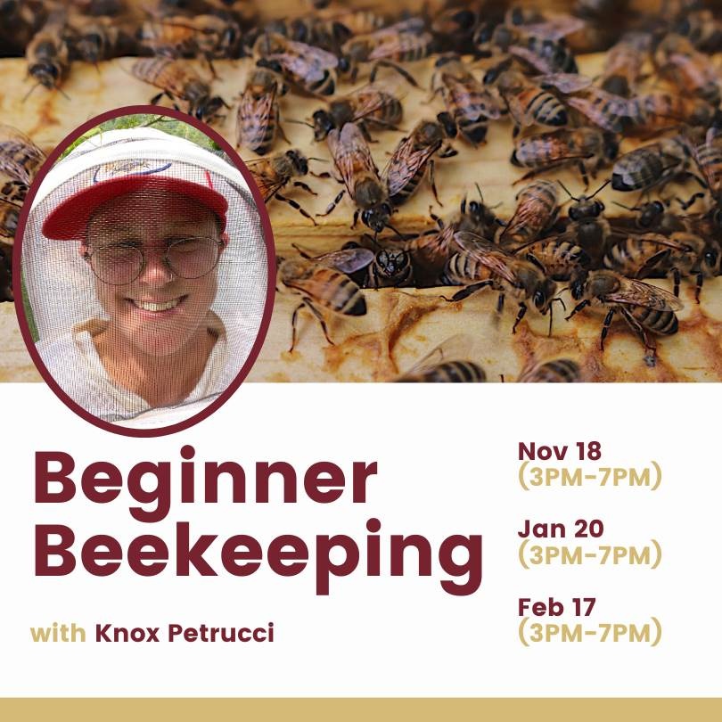 How to find your local beekeepers – Pixie's Pocket