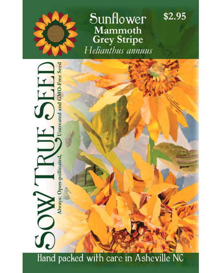Sow True Seeds, Sunflower (Mammoth Grey Stripe)