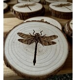 Munsell Made Engraved coasters: Dragonfly