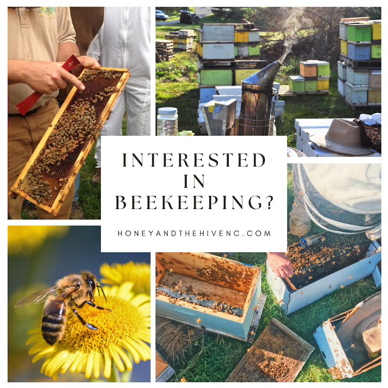 Become a Beekeeper in 2024!
