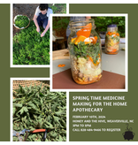 Honey & the Hive CLASS: Springtime Medicine with Lori Jenkins