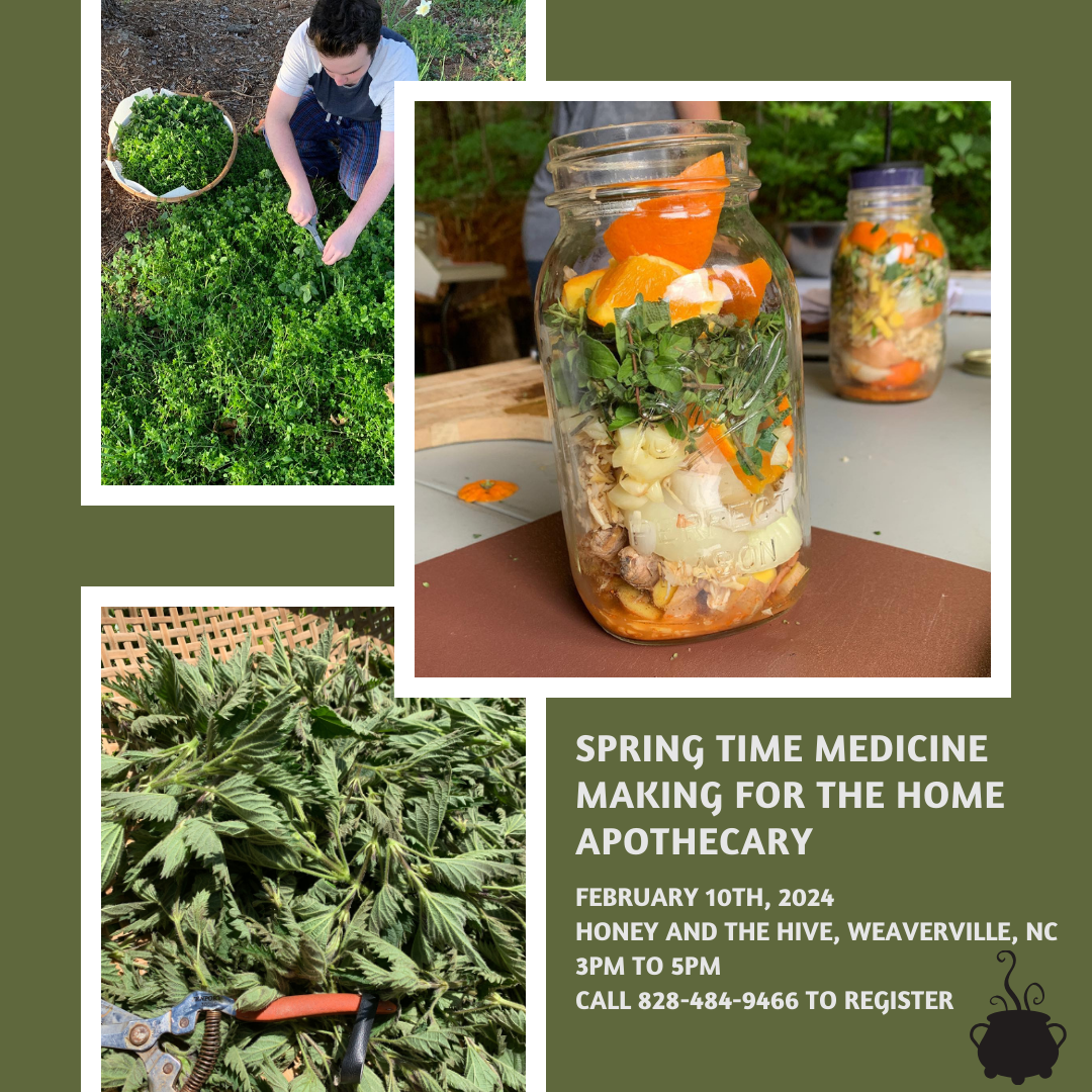 Honey & the Hive CLASS: Springtime Medicine with Lori Jenkins