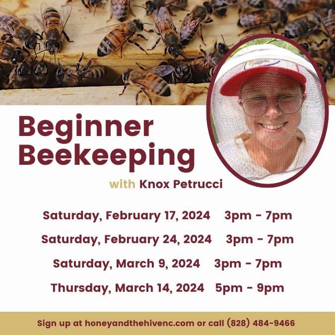 Honey & the Hive CLASS: Beginner Beekeeping