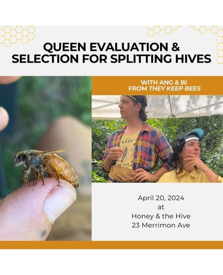 Class: Queen Evaluation & Selection for Splitting Hives with They Keep Bees