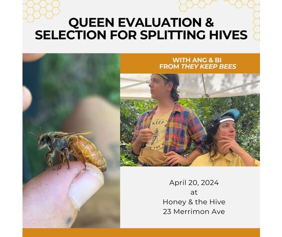 they keep bees Class: Queen Evaluation & Selection for Splitting Hives with They Keep Bees