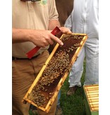 CLASS: Hands-On Hive Inspections