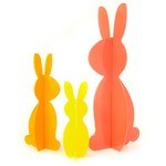 Kailo Bunny Acrylic (Orange Set)