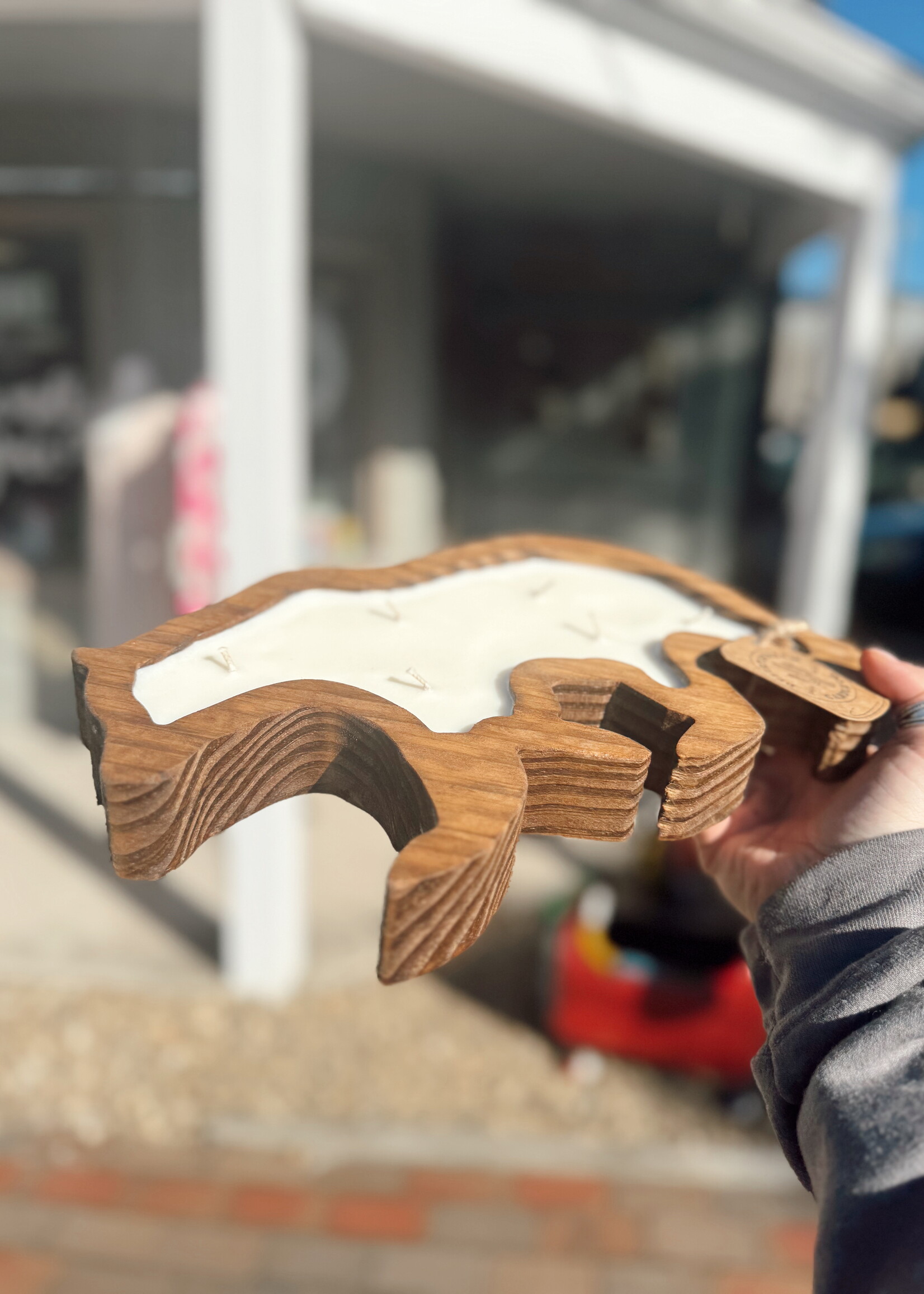 Bear Dough Bowls