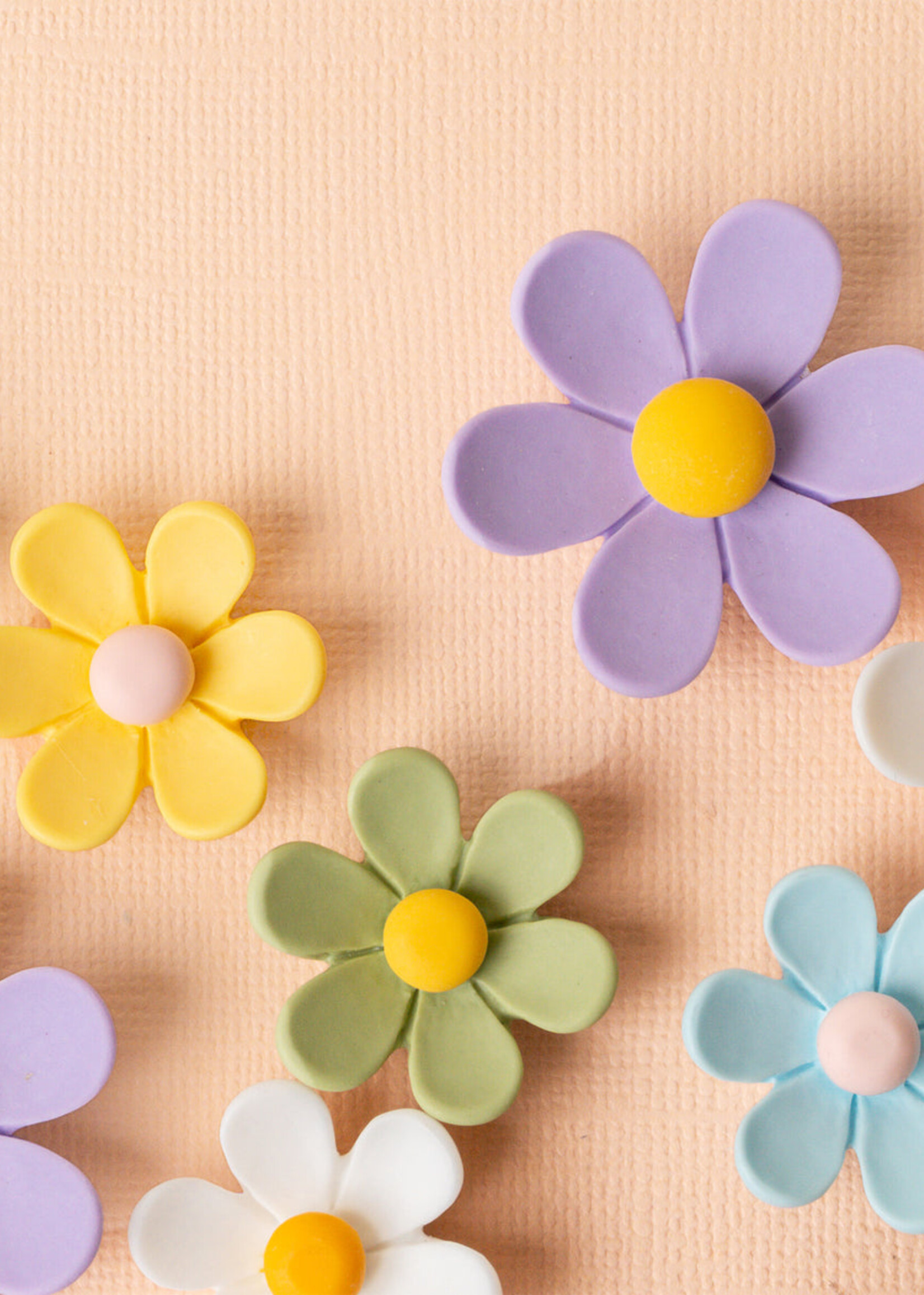 Daisy Delight Magnet Set -