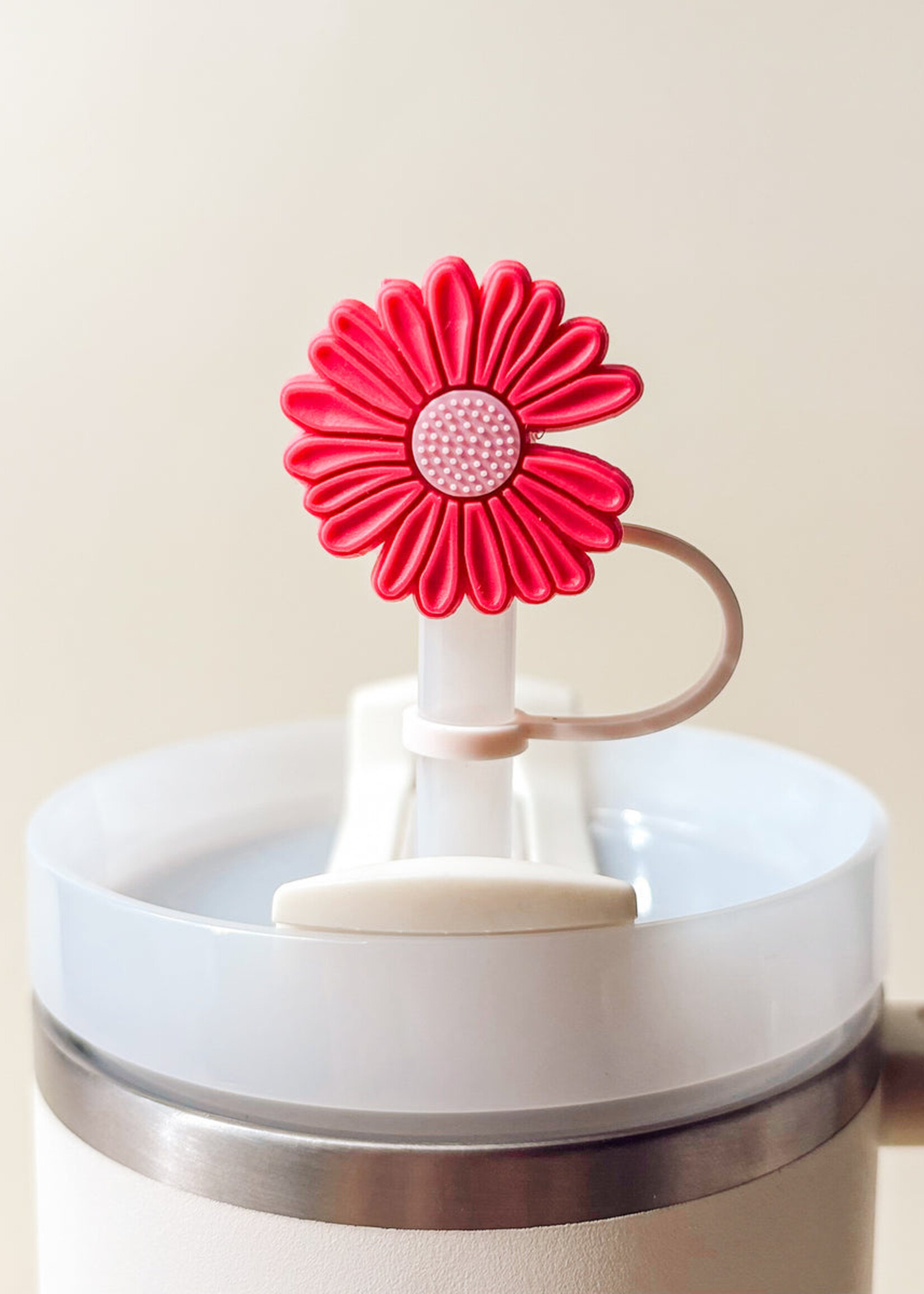Straw Topper Set