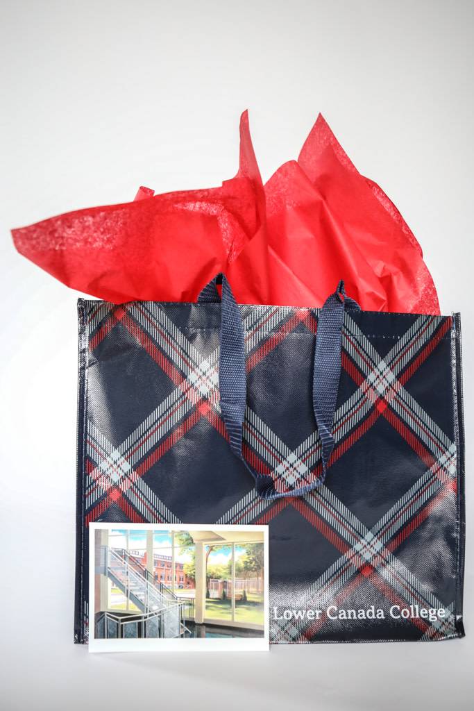 Large Gift Bag Bundle