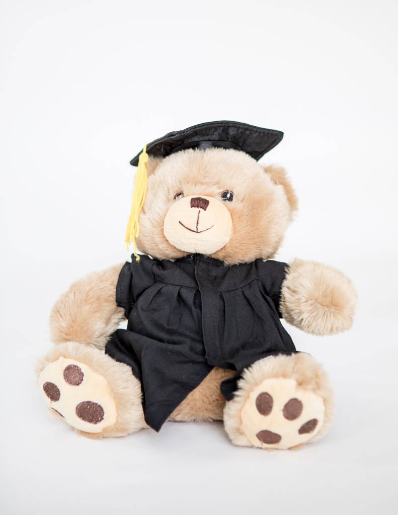 Bear w/ Grad outfit