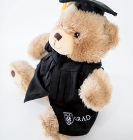 Bear w/ Grad outfit