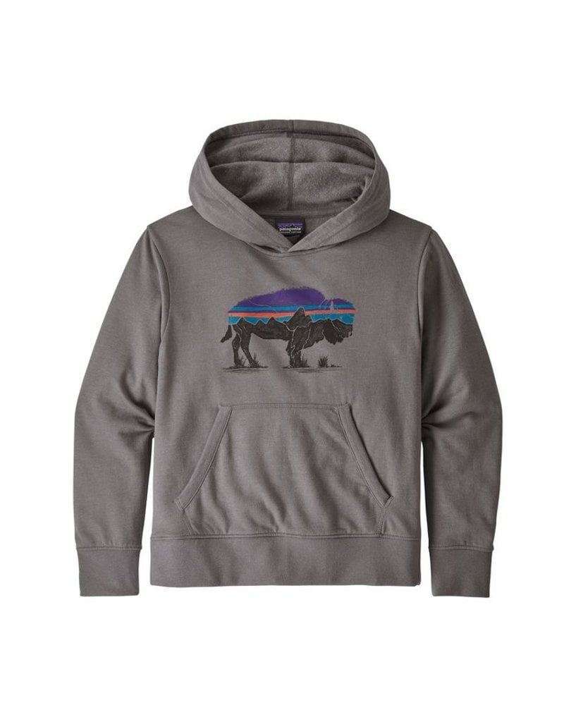 patagonia kids sweatshirt